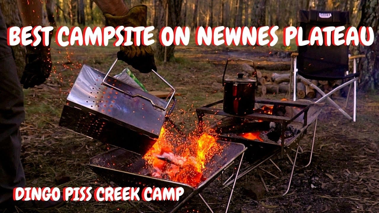 Newnes State Forest Camping - Lithgow - zig zag - blue mountains - deep pass - Dingo piss creek