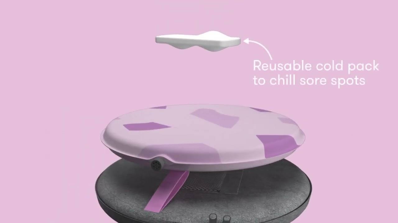 Frida Mom Perineal Cooling Comfort Cushion