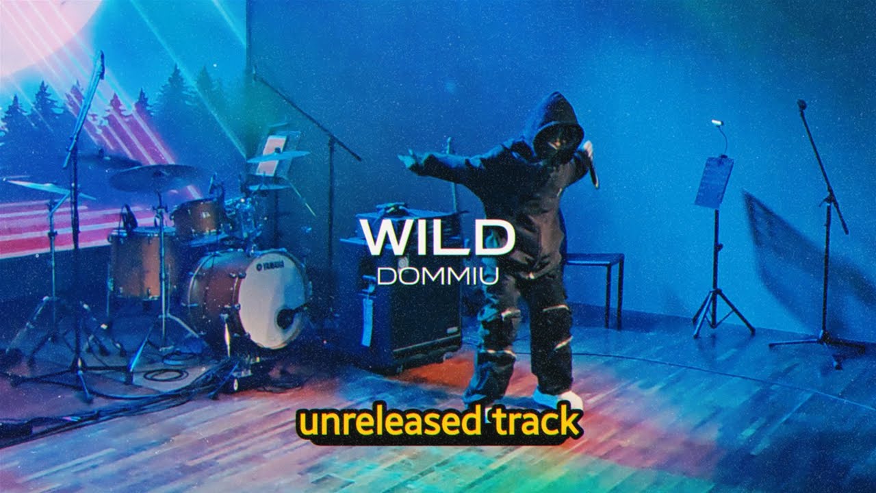 [미공개] DOMMIU(덤뮤) - WILD(live from Blue Moon Express 2025)