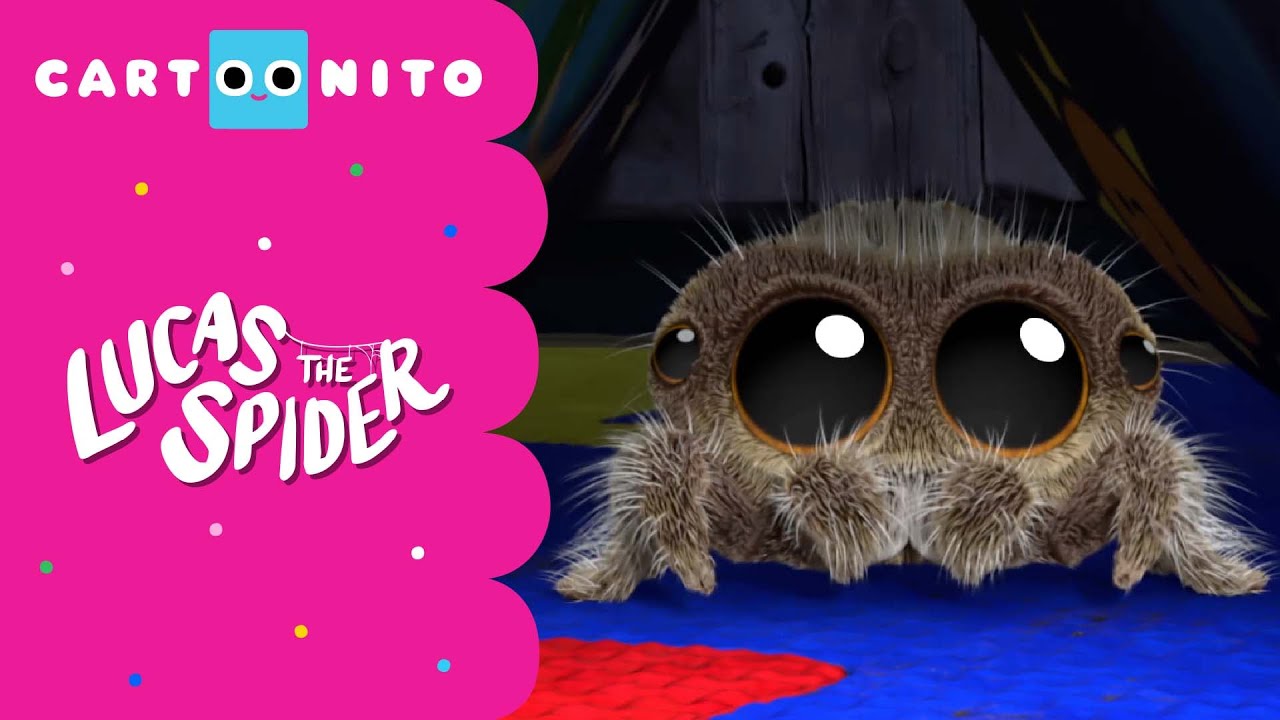 Lucas The Spider | Ghost Camp | Cartoonito