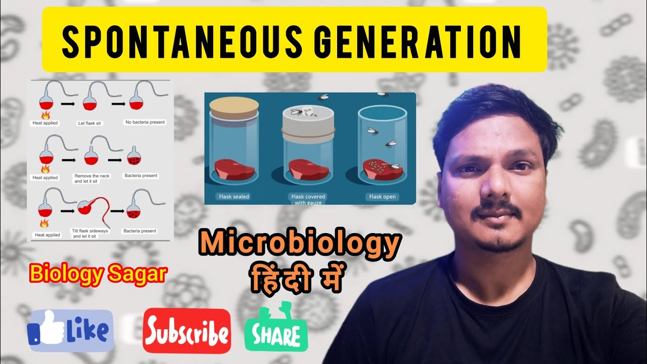 Spontaneous Generation Theory 