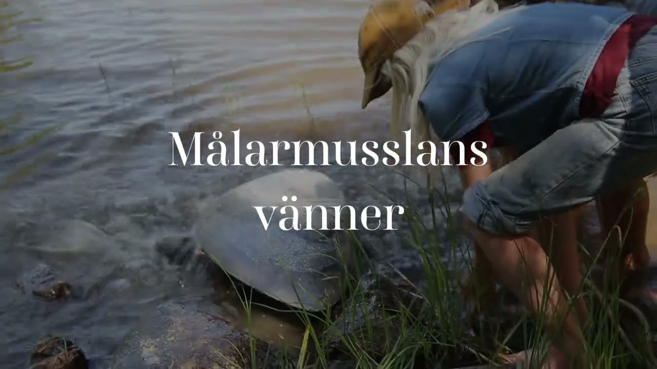 Målarmusslans vänner
