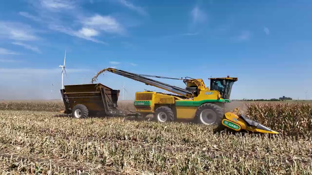 The 2024 Seed Corn Harvest: Farmer City Bayer's Journey