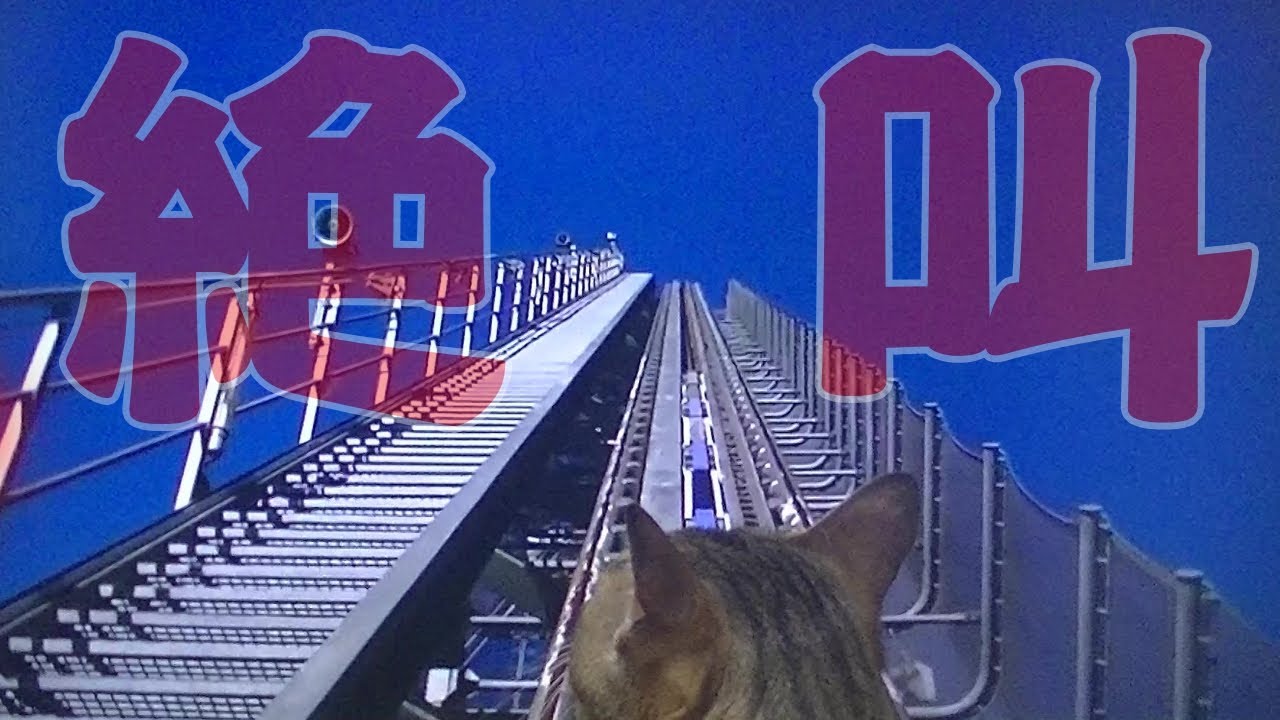 初めてのジェットコースター体験【猫の小鉄】