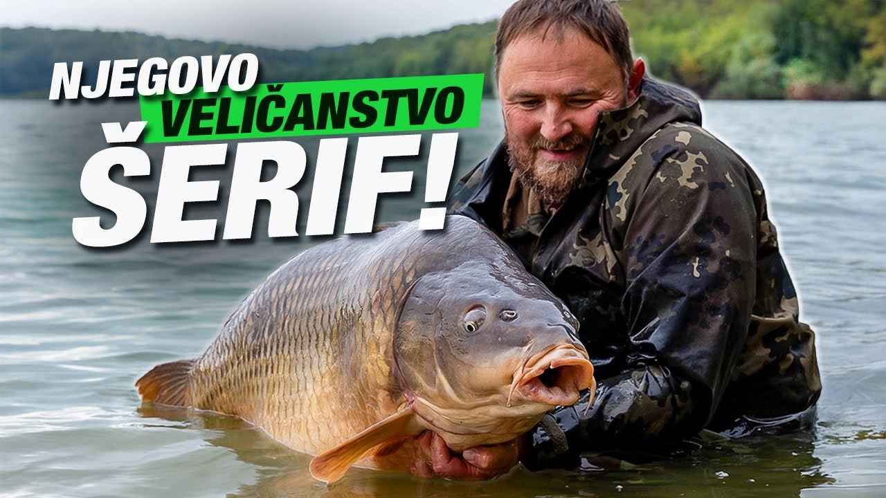 Riba 30+ s Lapovca!