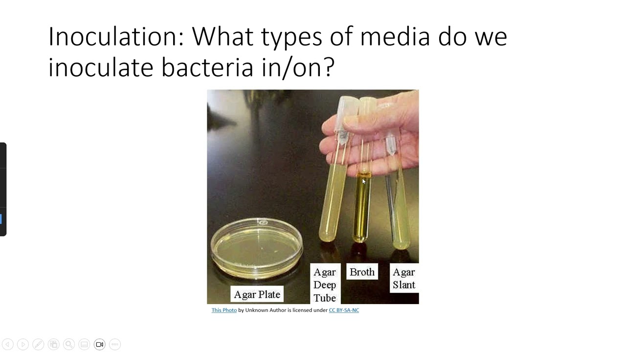 Basic Review of General Microbiology