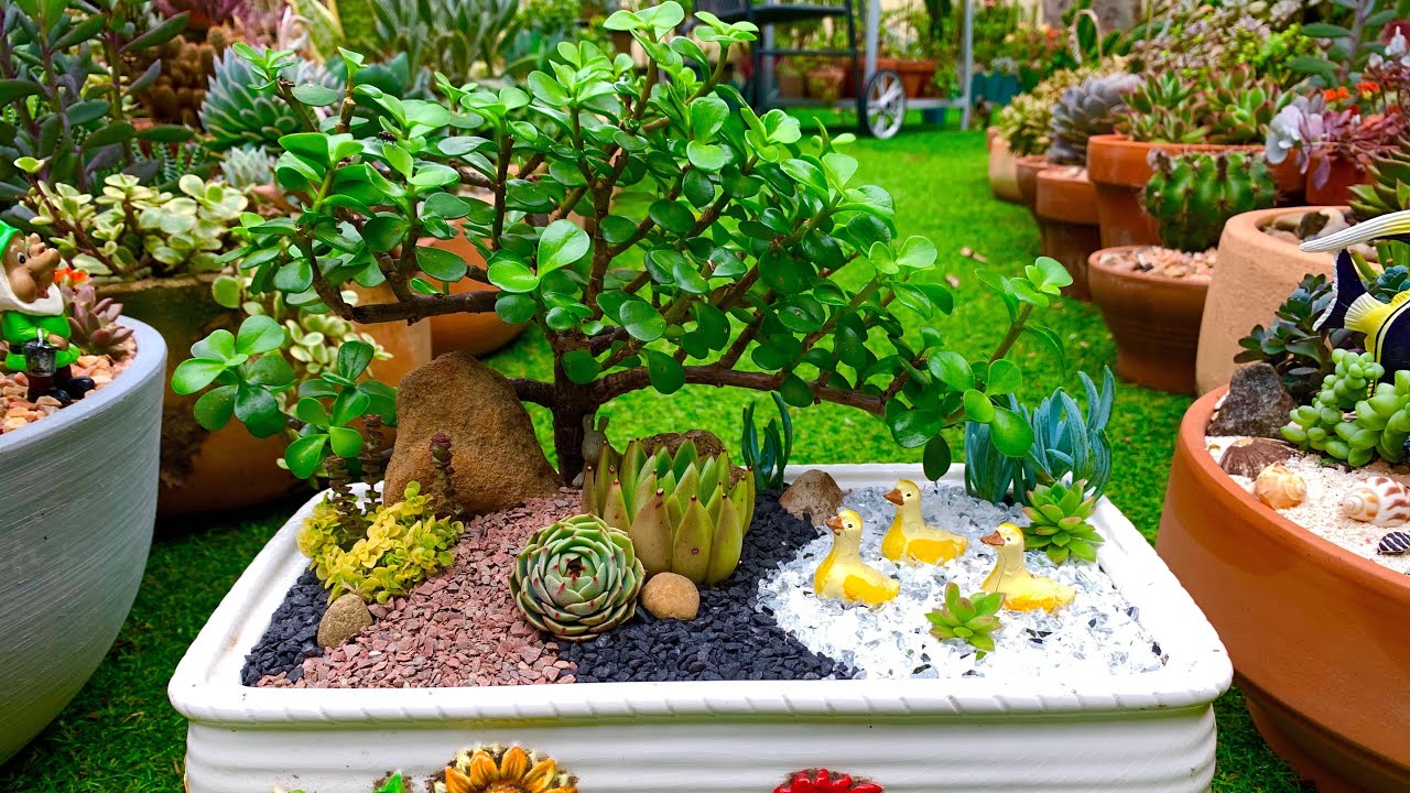 Succulent Arrangement in a re-purposed Bread Container