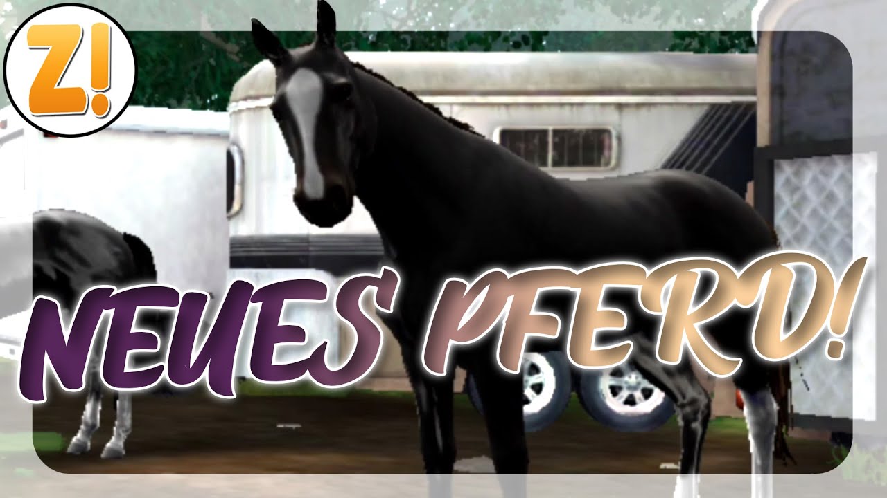 NEUES PFERD! 🐎🌟 GRATIS PFERDE SPIEL! | EQUESTRIAD WORLD TOUR