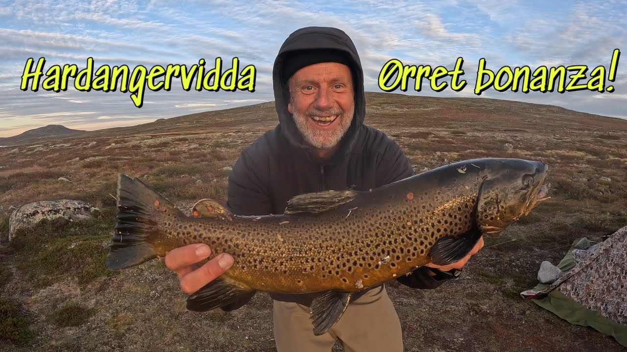 Fluefiske på Hardangervidda 2025