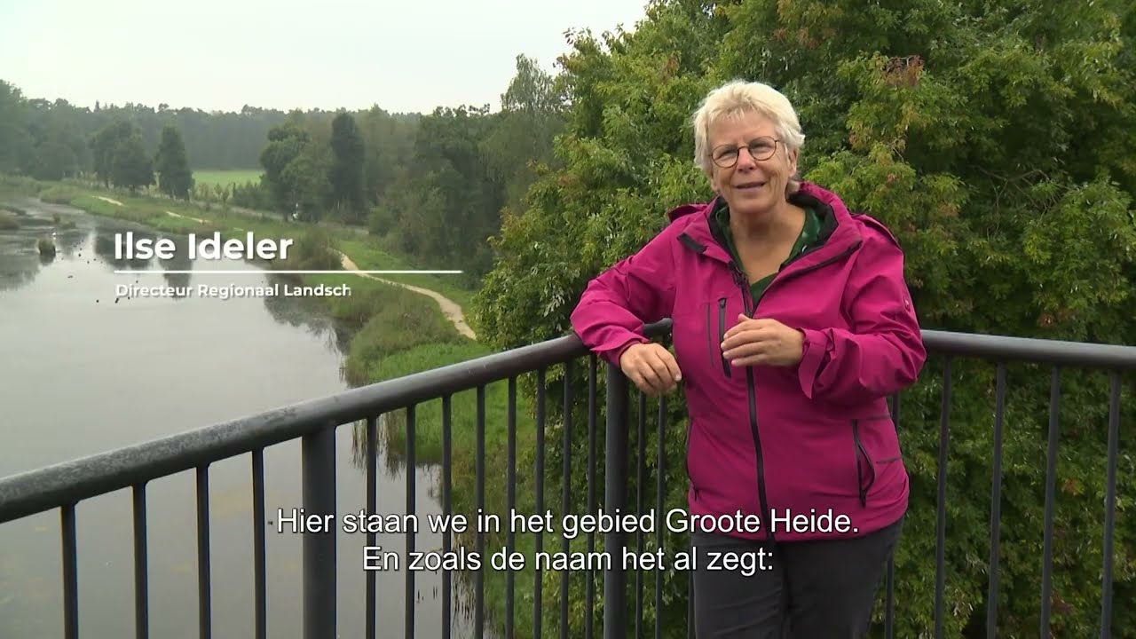 Landschapbouwers Lage Kempen: veenvernatting (reportage)