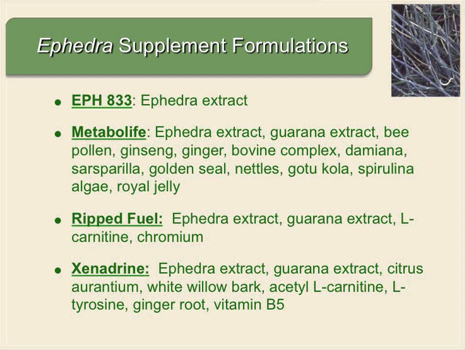 Pharmacodynamic Mechanisms: Ephedra