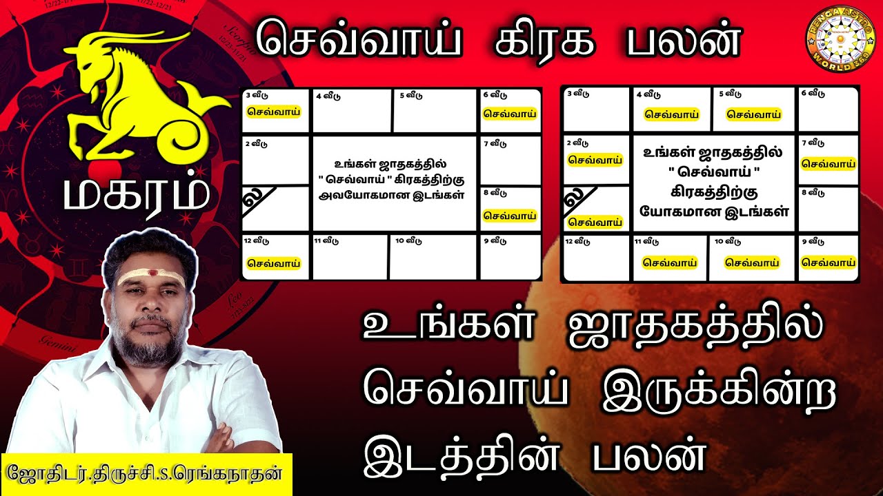 மகரம் | உங்களுக்கு ஜாதகத்தில் செவ்வாய் பலன் | Effects of Mars in 12 Houses | Magaram | Renganathan