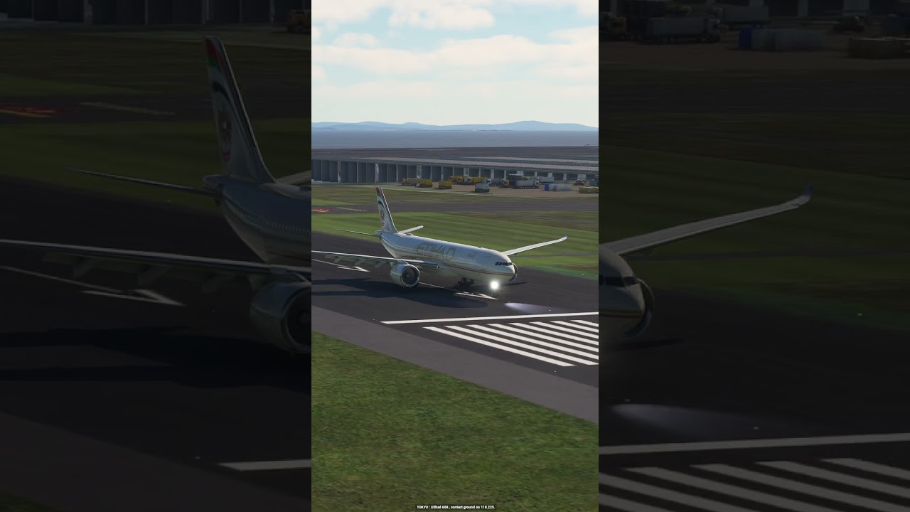 the pilot's actions endangered the plane's passengers EP288