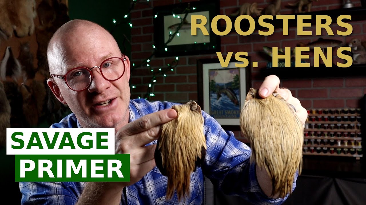 Fly Tying Materials for Beginners - Hackle Primer