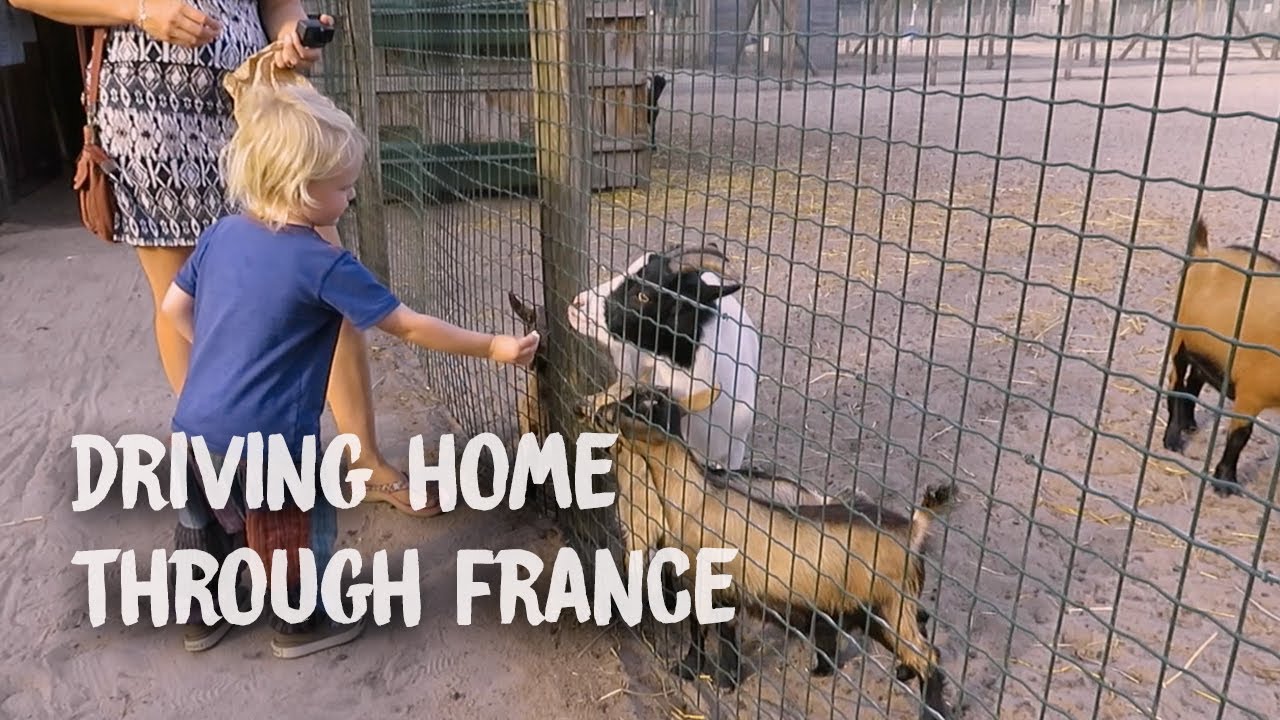 Driving Home through France ~ Animal Farm Visit | Video Blog 37