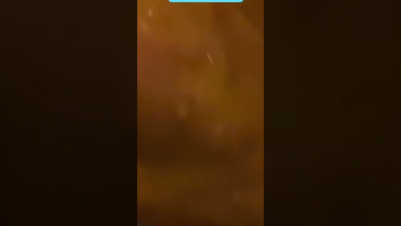 #проишествие #ольгабрукман #сауна #usa #путешествия #замужзарубеж #украина #россия