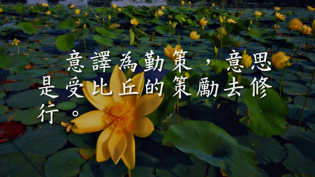 佛门四众弟子　比丘 比丘尼 优婆塞 优婆夷（观成法师之广结善缘2005）