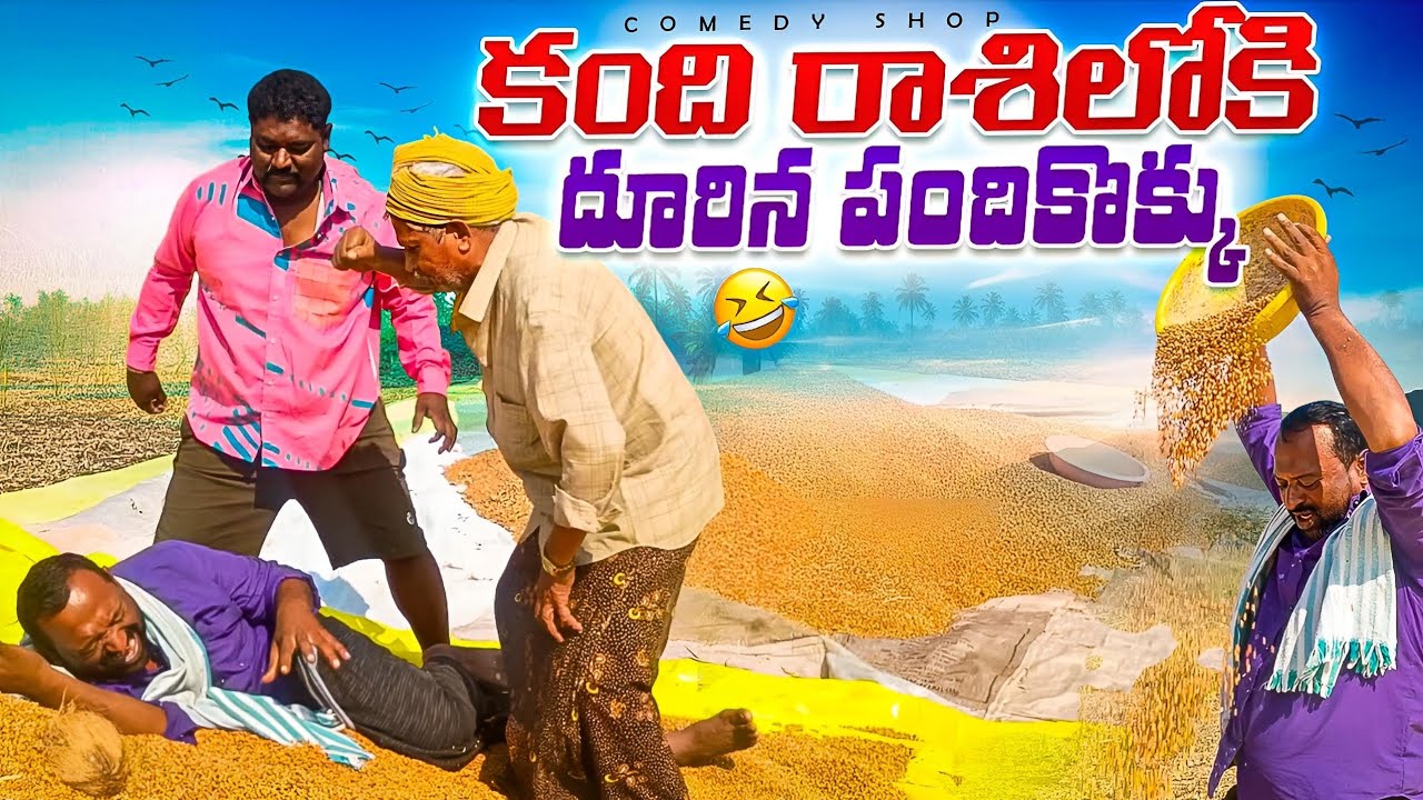 కంది రాశిలోకి దూరిన పందికొక్కు #comedy #villagecomedyshow 