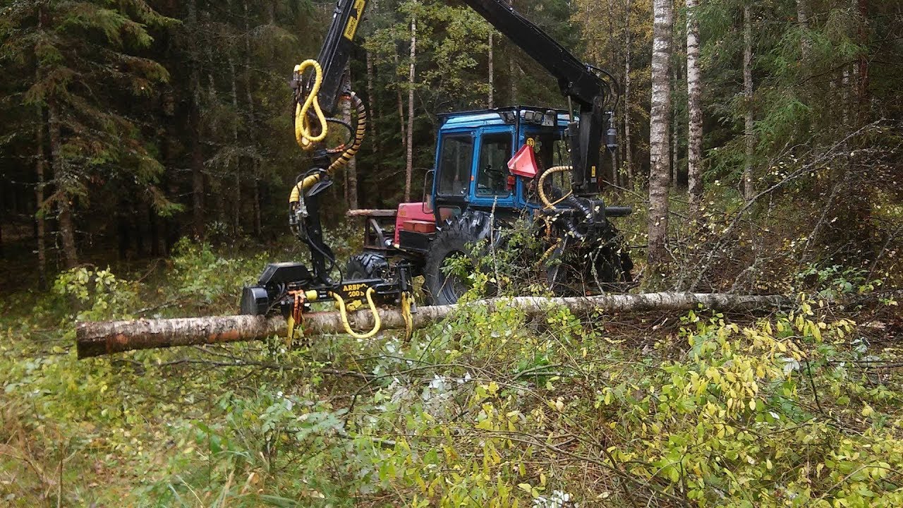 MTZ harvester in forest |praca leśna| erdészeti munka|