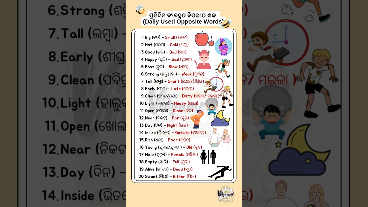 20 Daily Used Opposite Words in English with Odia Meaning | ବିପରୀତ ଶବ୍ଦ | English Odia Short