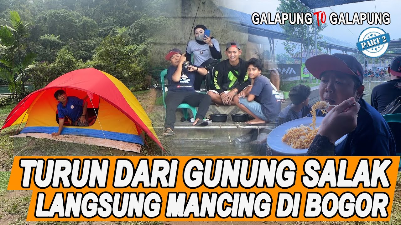 MANCING DI TEMENIN ISTRI, MAKAN DI SUAPIN, BABON MAKANIN SAMPE NAEK 1.397 EKOR !!  ||AGF70
