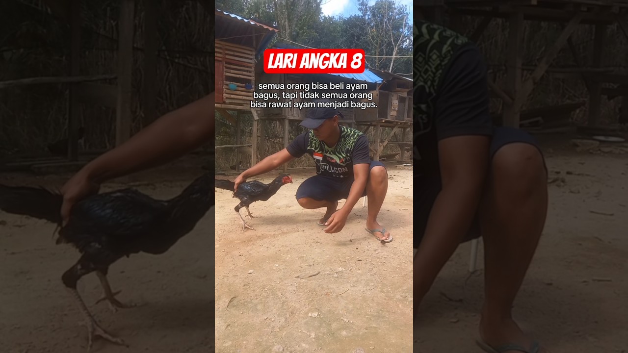 Lari Angka 8 