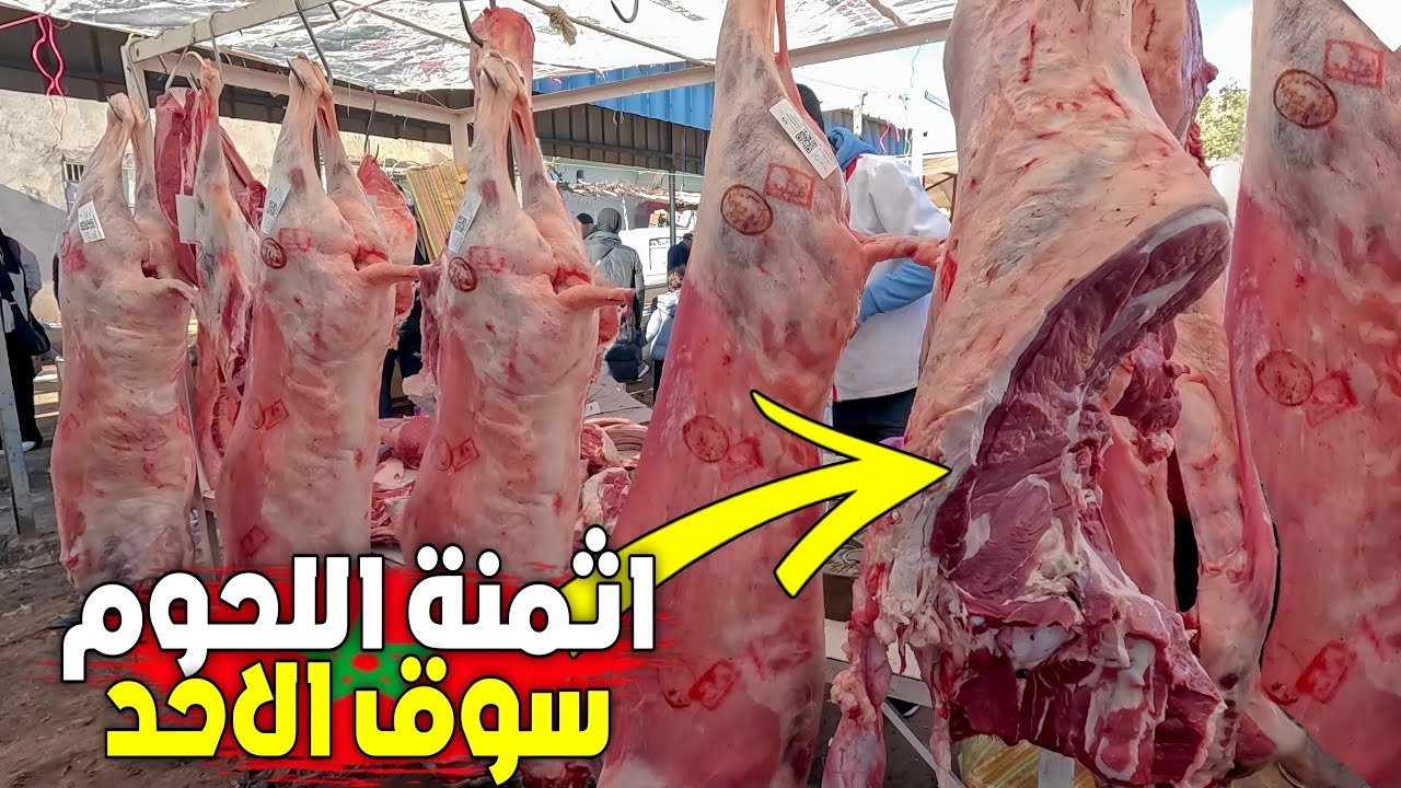 أثمنة اللـحوم والدواجن والأسماك والخضر والفواكه بسوق الأحد رسلان بإقليم بركان 🇲🇦 SOUK RISLAN BERKANE