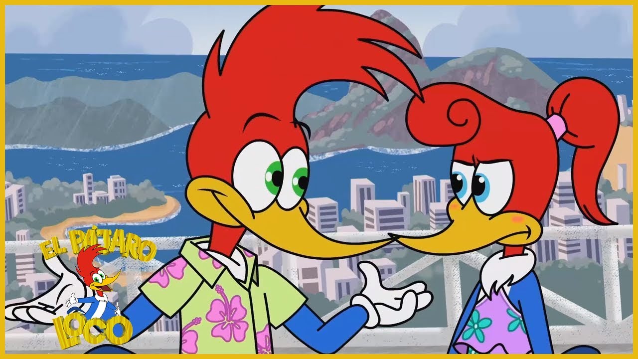 El Pájaro Loco Episodio Completo | Un día en rio | Dibujos Animados | Caricaturas