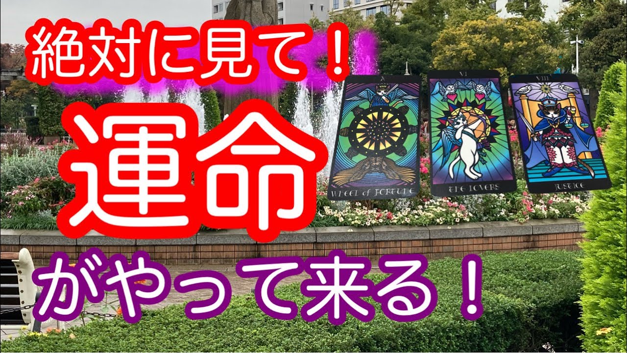 【タロット占い】一週間の運勢を占います。タロットカードやルノルマンカードを使った３択リーディング🌠 運命の兆しがありますよ！