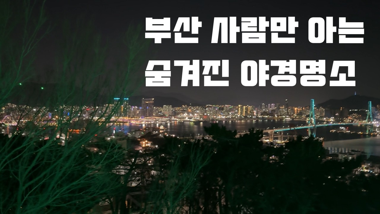 영도배수지 전망대 야경(현지인만 아는 야경 명소), 부산 여행 마무리