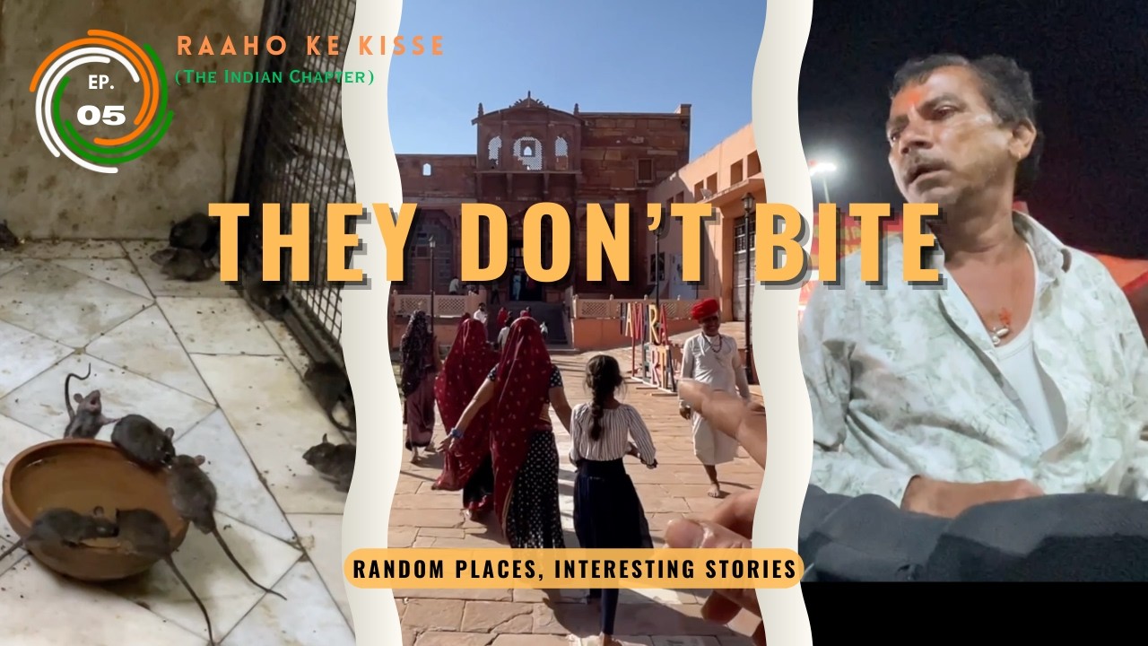 Unplanned Discoveries between Pushkar & Bikaner | Riding India Alone |  Ep. 5
