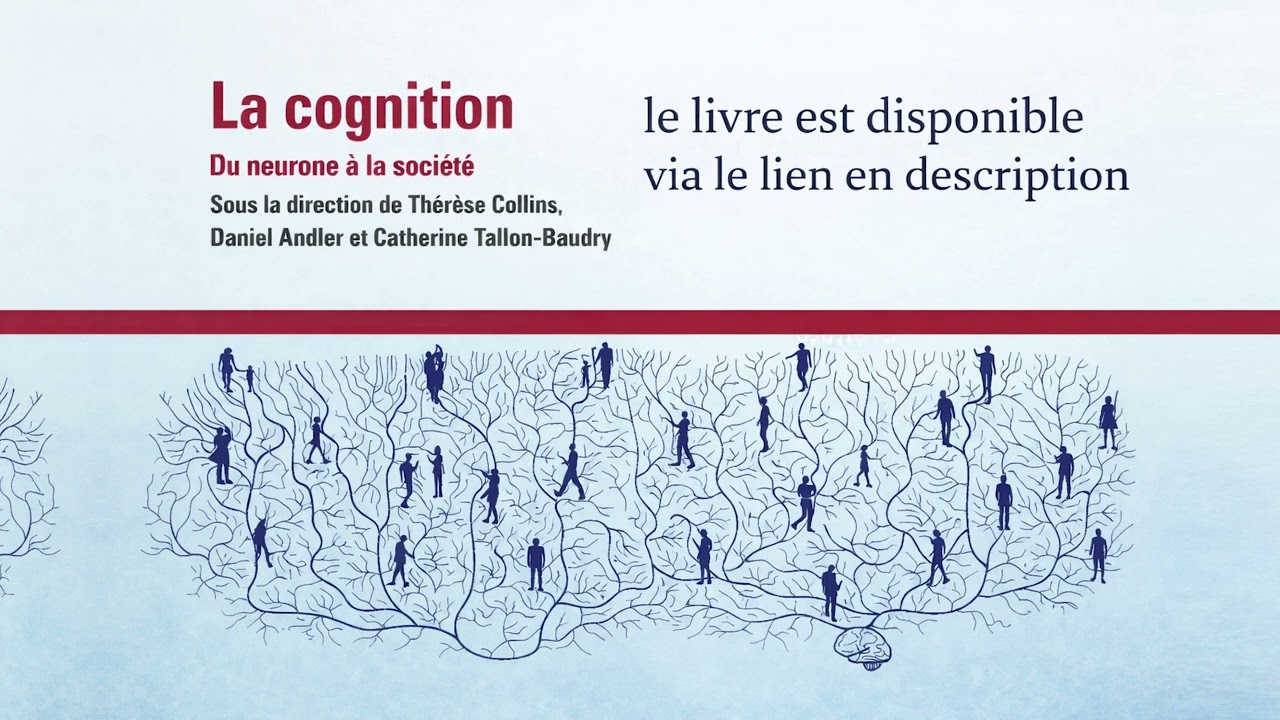 Résumé Audio : La cognition