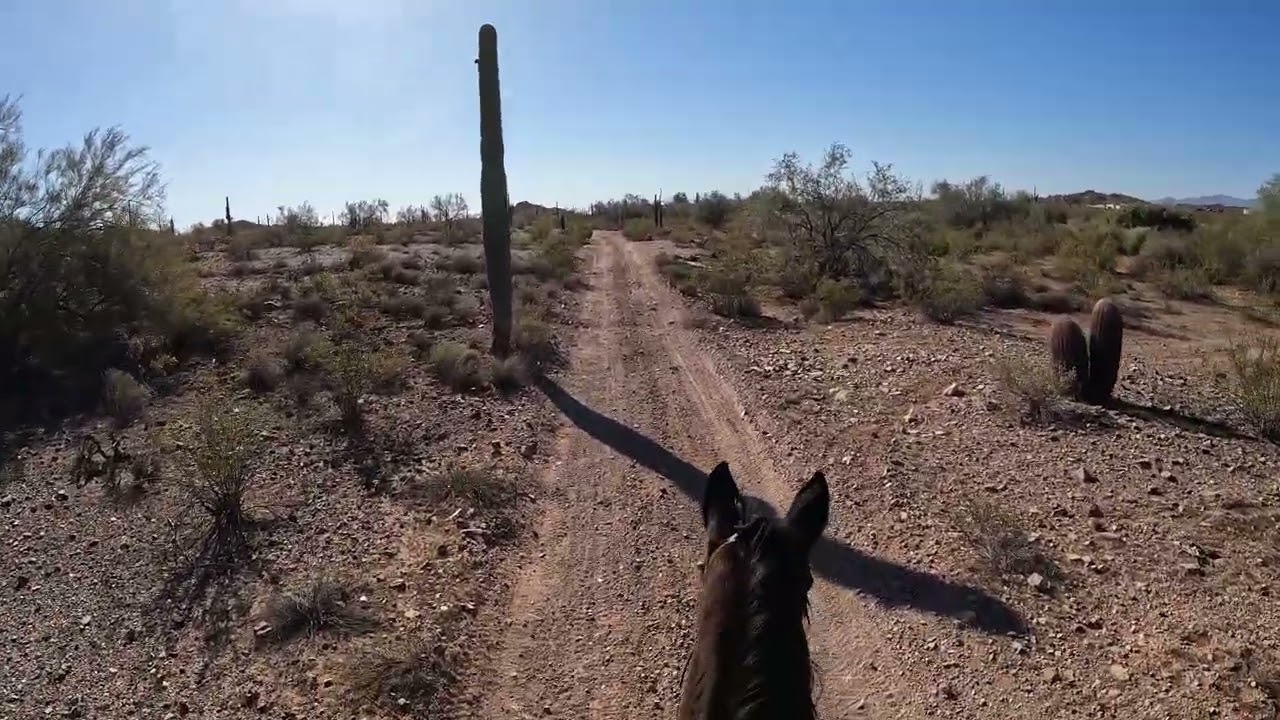Riding Through the High Desert: Arizona Horseback POV [4K]