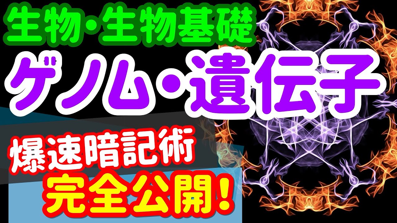 【生物基礎 47】遺伝子【ゲノム・遺伝子の違い】を宇宙一わかりやすく