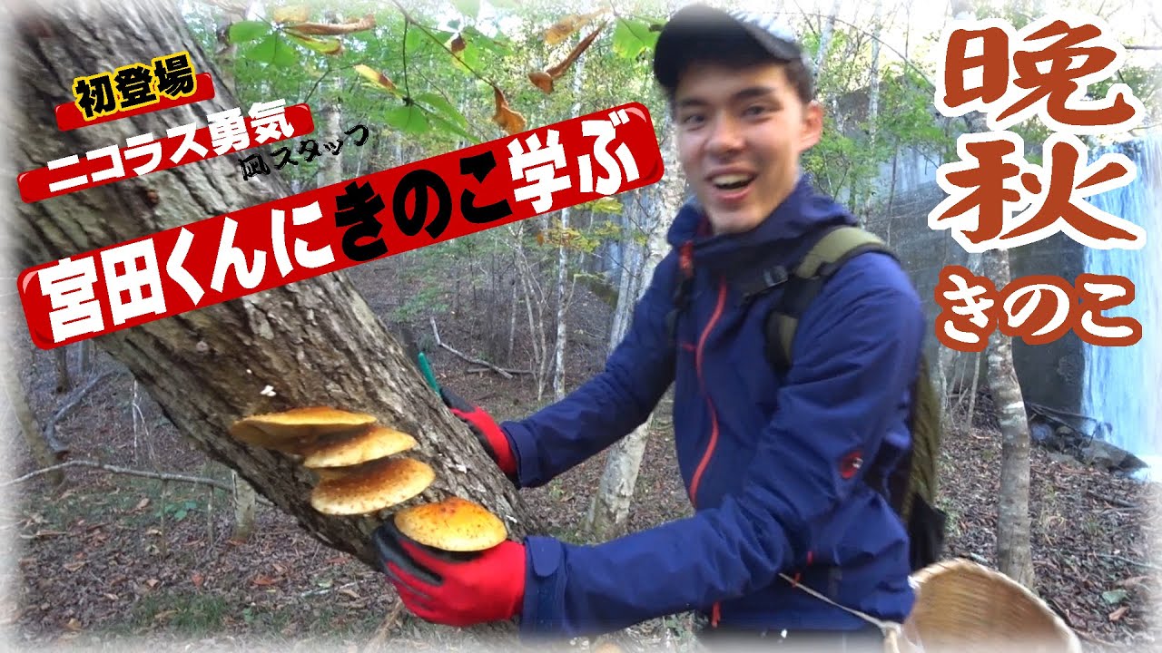 【きのこ狩り】　晩秋きのこ狩り  宮田くんに学ぶ初登場のニコラス!!