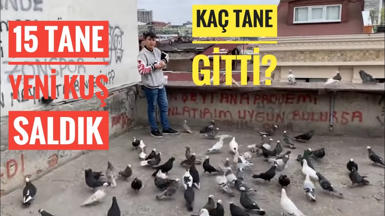 15-20 TANE BANTLI KUŞUN KANADINI AYNI ANDA AÇTIK UÇURDUK