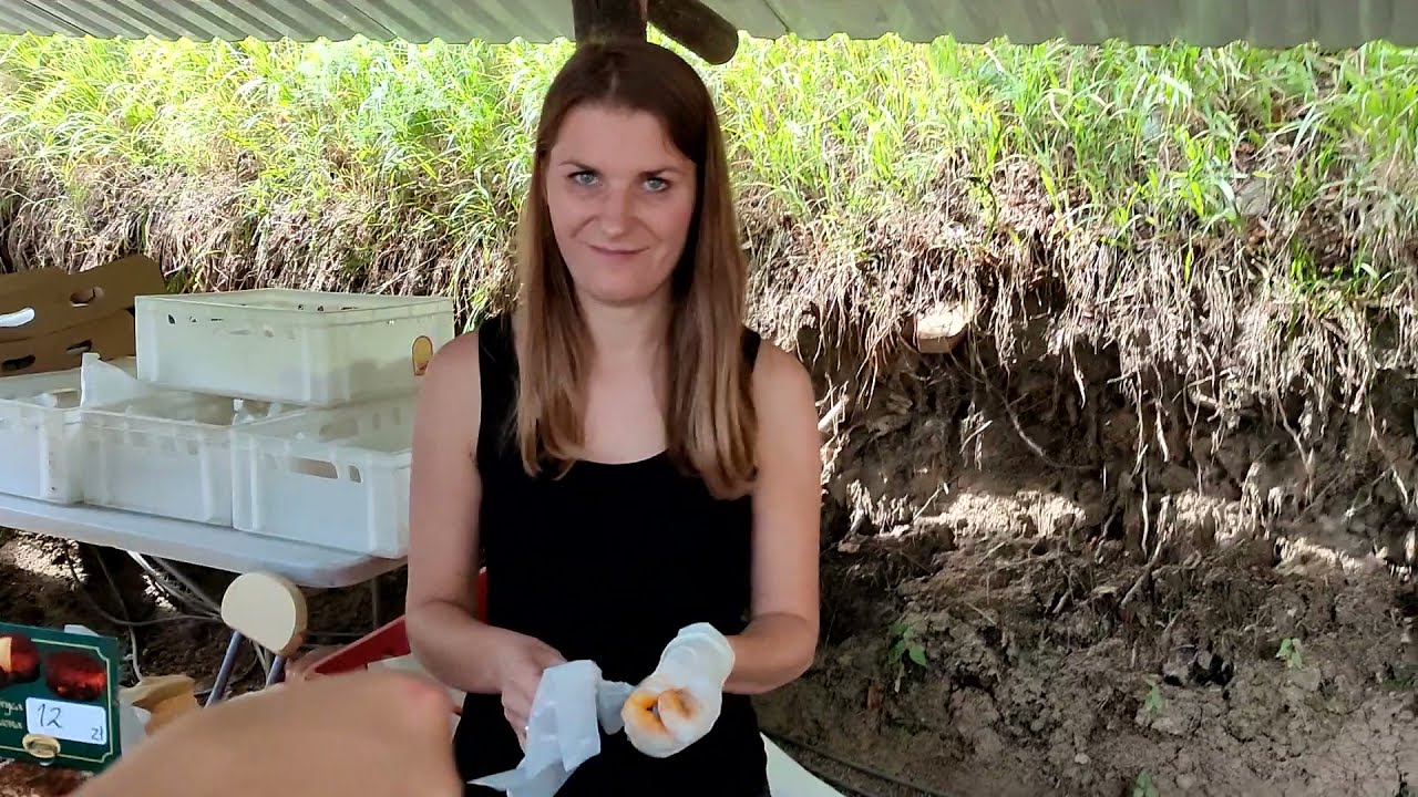 Festiwal Smaku Gruczno, Sobota cz.1