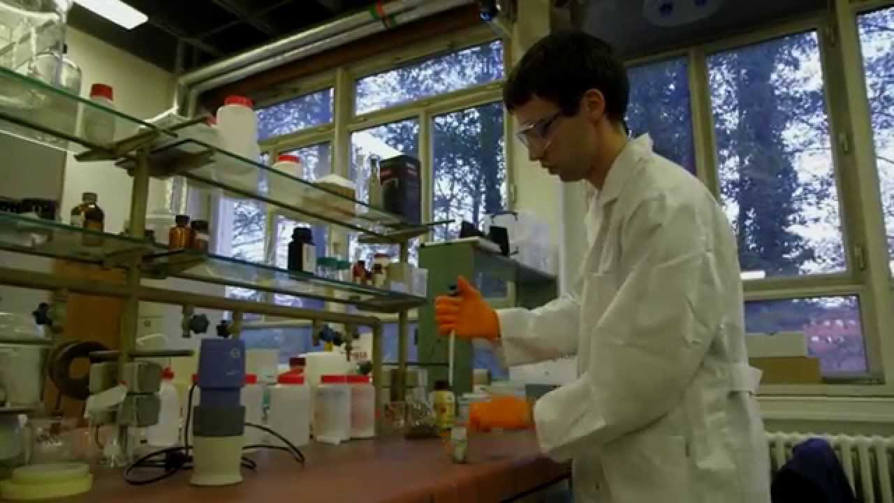 Self-healing concrete by means of bacteria embedded in super absorbent polymers
