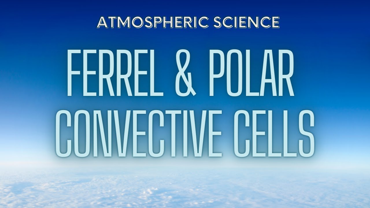 What Are The &lsquo;Ferrel Cell&rsquo; & &lsquo;Polar Cell&rsquo; In The Atmosphere?