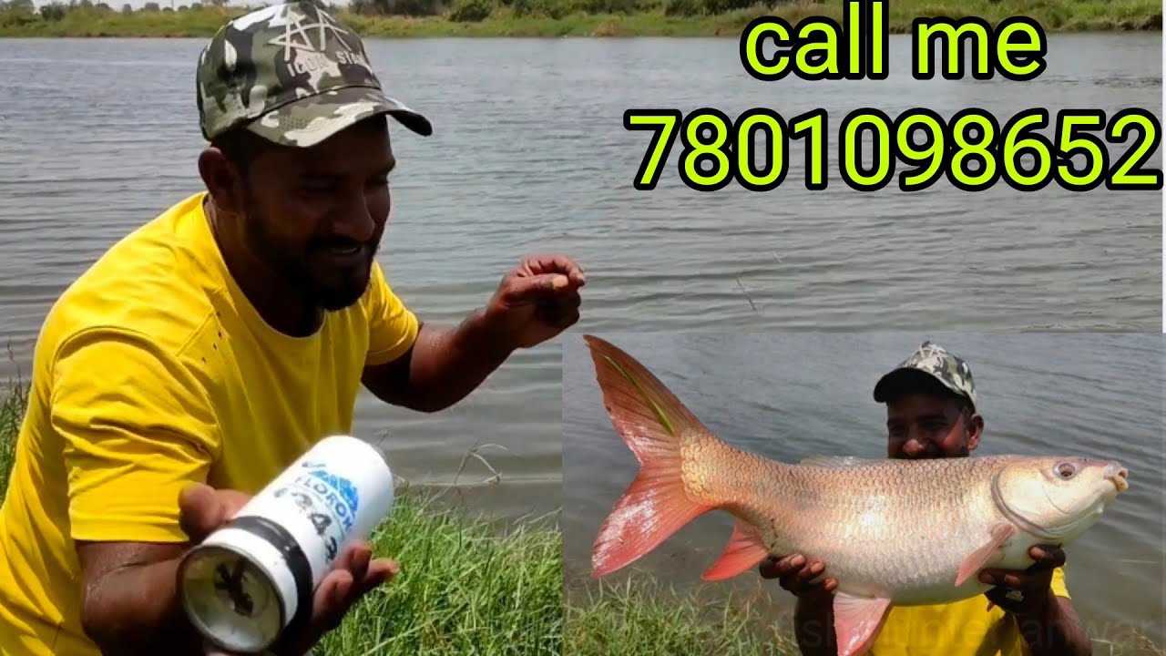 Bottle Fishing Videos | Traditional Bottle Fishing | Plastic Bottle Fish Trap | Unique boll Fishing