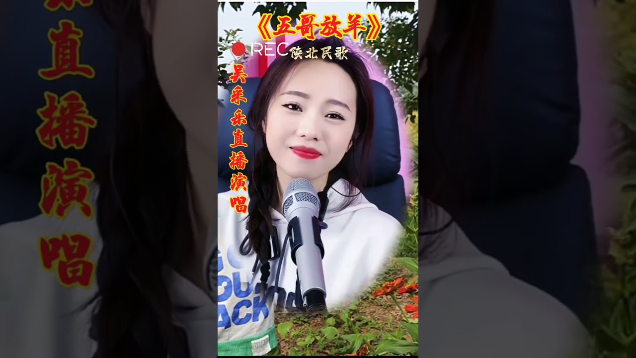 《五哥放羊》吴采乐直播演唱陕北民歌