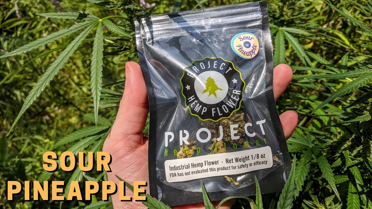 Sour Pineapple Bud Review (Project Hemp Flower)