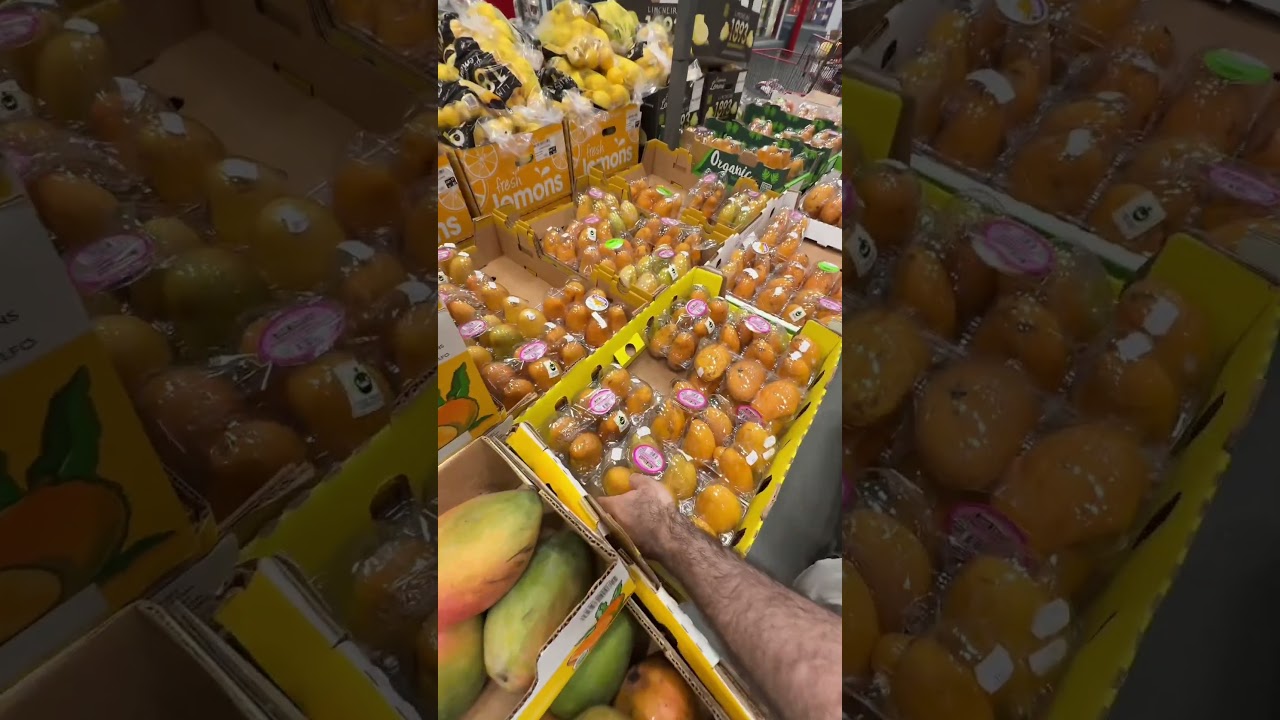 COSTCO SHOP WITH ME!!!! + haul