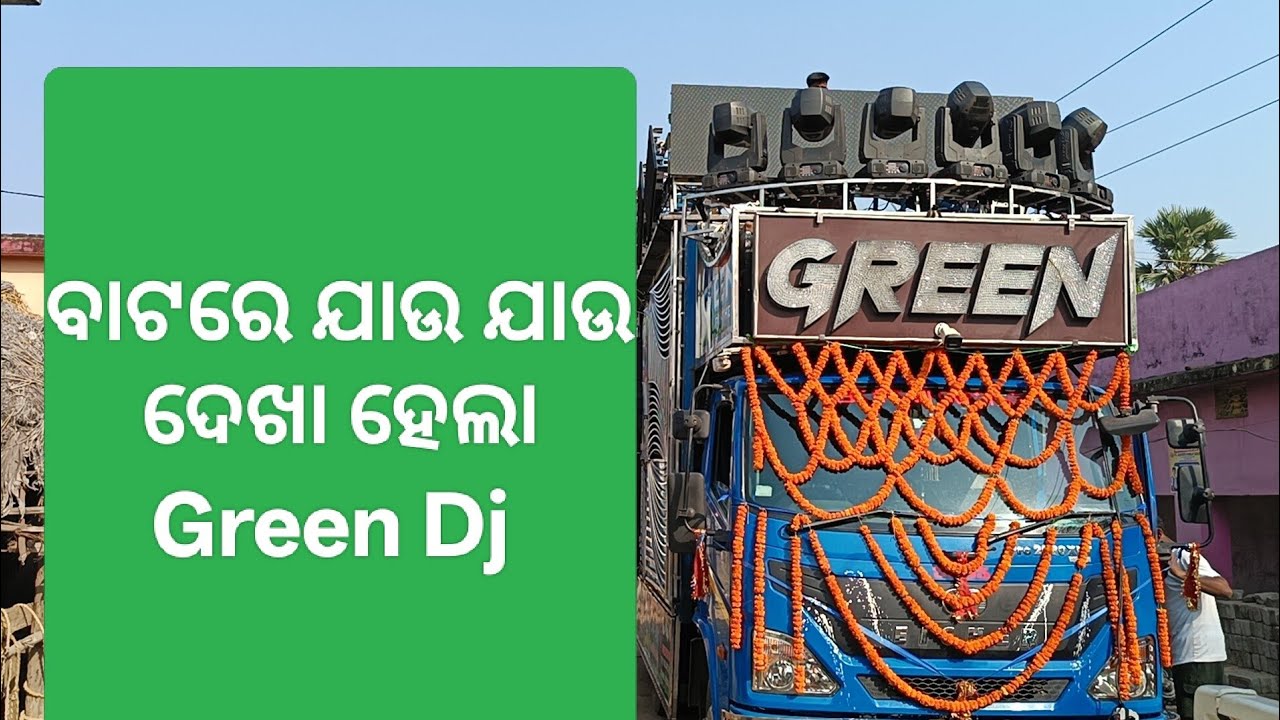 ବାଟରେ ଯାଉ ଯାଉ ଦେଖା ହେଲା Green Dj ll bijaya kumar Vlogs 