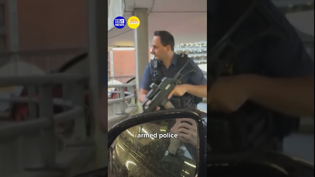 Manhunt after suspected Heathrow pepper spray attack | 9 News Australia