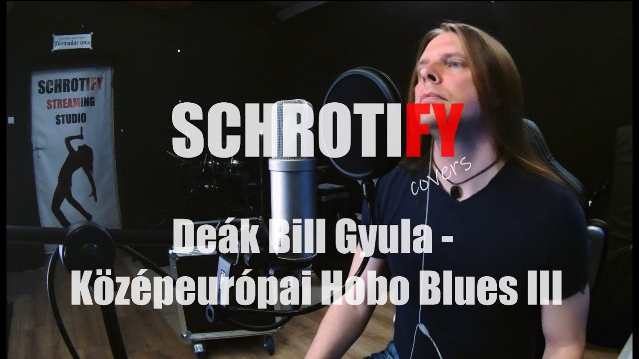 Deák Bill Gyula - Középeurópai Hobo blues III (Cover by Schrotify)