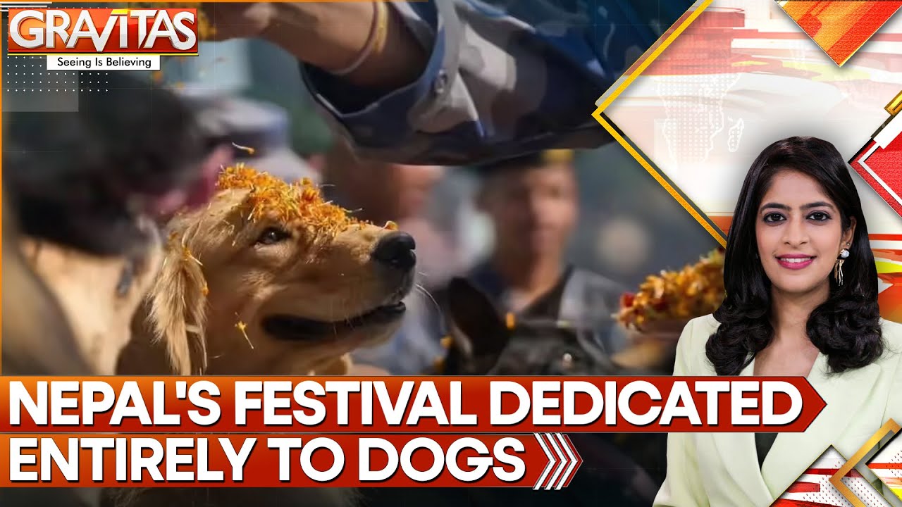 Why Dogs Are Sacred in Nepal&rsquo;s Kukur Tihar Festival | GRAVITAS