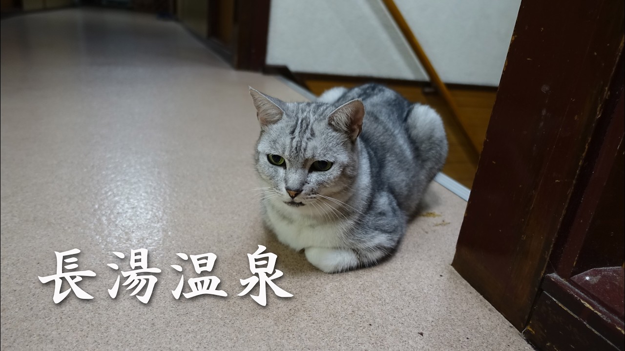 長湯温泉