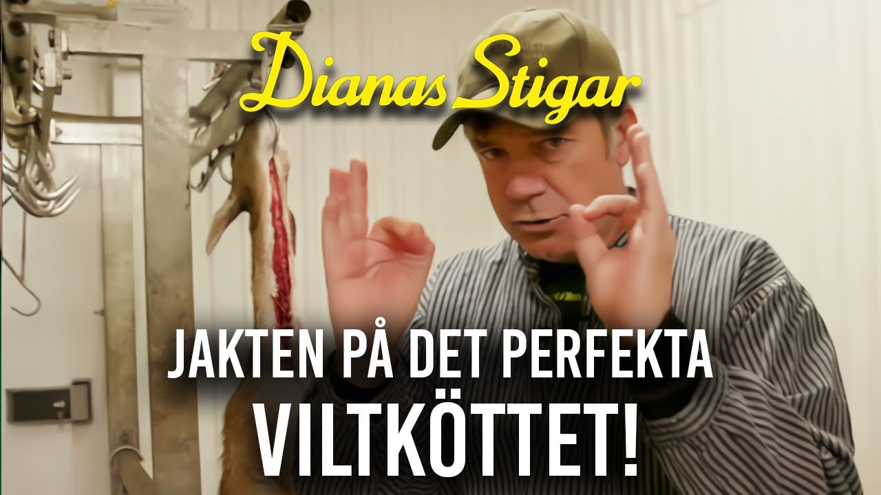 Jakten p&aring; det perfekta viltk&ouml;ttet!