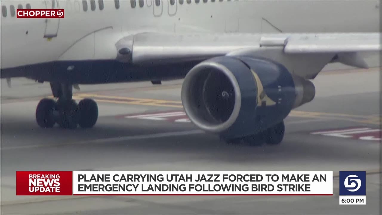 Utah Jazz Charter Flight Forced To Land After Hitting Bird